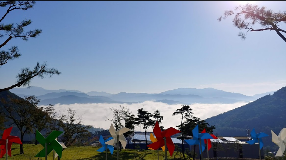 에디터 사진